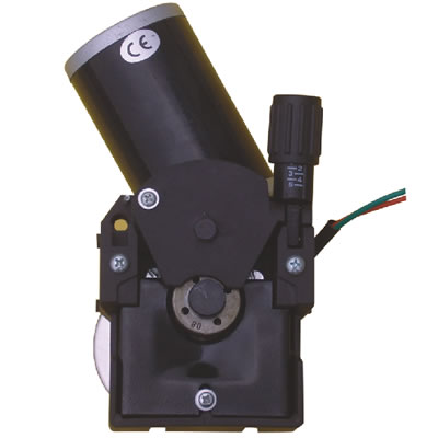 ��˿�����-4